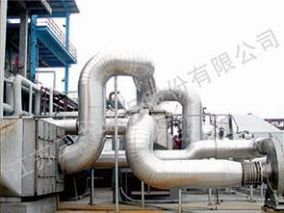 Catalytic oxidation system (CO)