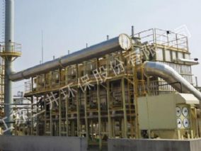 Petrochemical industry Shanghai Nippon coatings CO., LTD